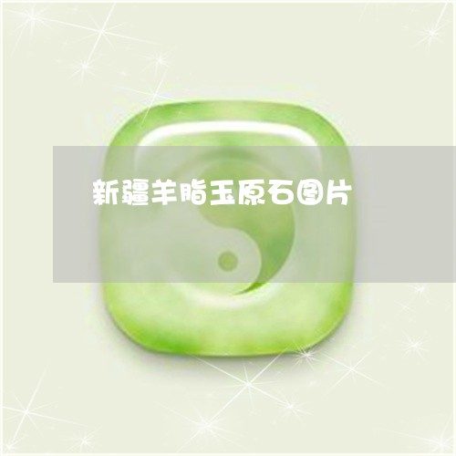 新疆羊脂玉原石图片 新疆羊脂玉原石图片