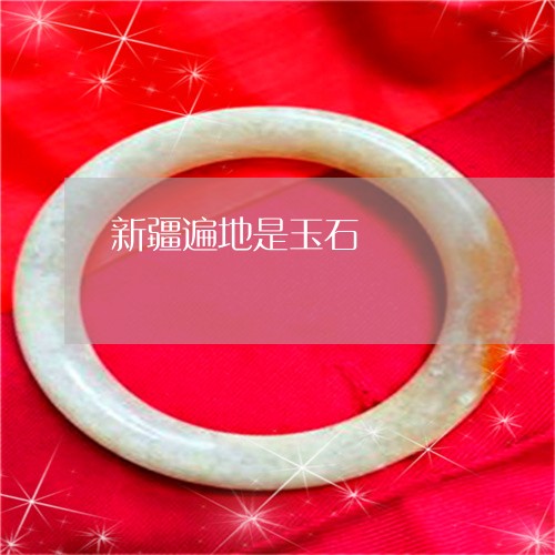 新疆遍地是玉石/2023040206946 新疆遍地是玉石/2023040206946