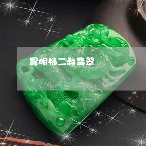 昆明杨二叔翡翠/2023040295914 昆明杨二叔翡翠/2023040295914