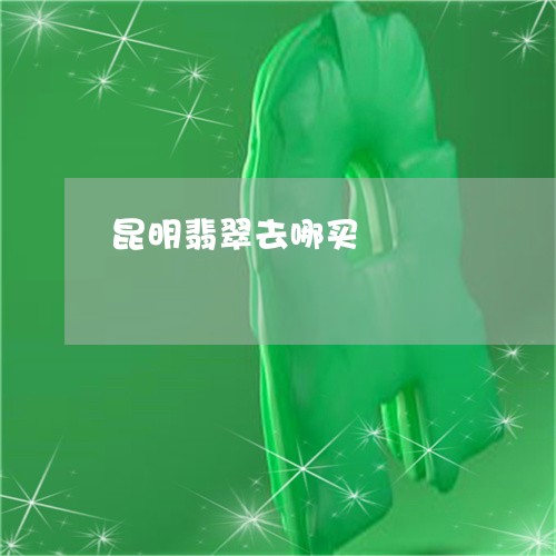 昆明翡翠去哪买/2023040283715 昆明翡翠去哪买/2023040283715