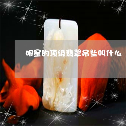 明星的顶级翡翠吊坠叫什么/2023071002716