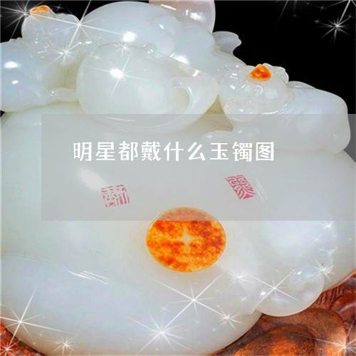 明星都戴什么玉镯图 明星都戴什么玉镯图
