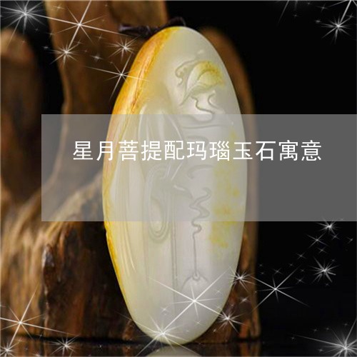 星月菩提配玛瑙玉石寓意/2023061802805