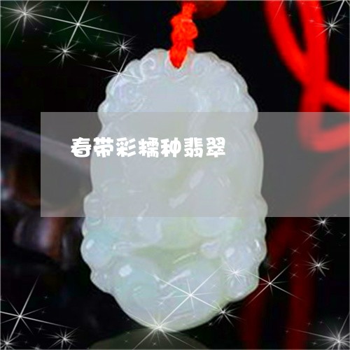春带彩糯种翡翠/2023040240694 春带彩糯种翡翠/2023040240694