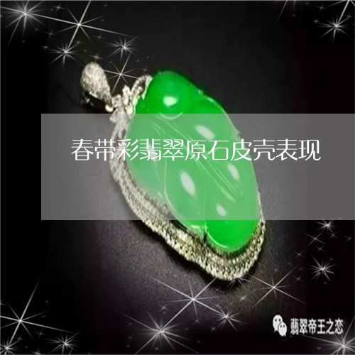 春带彩翡翠原石皮壳表现/2023061938403