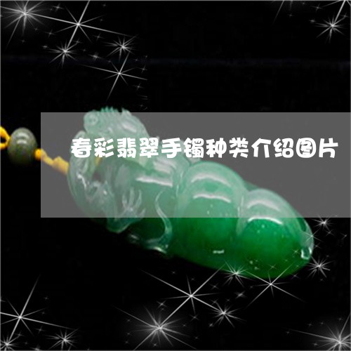 春彩翡翠手镯种类介绍图片/2023071017350