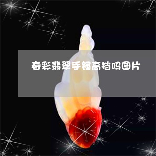 春彩翡翠手镯高档吗图片/2023061882815