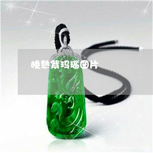 晚熟紫玛瑙图片/2023033162612