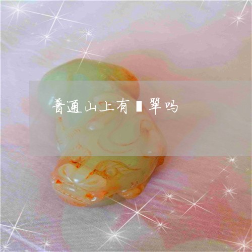 普通山上有翡翠吗/2023032078272 普通山上有翡翠吗/2023032078272