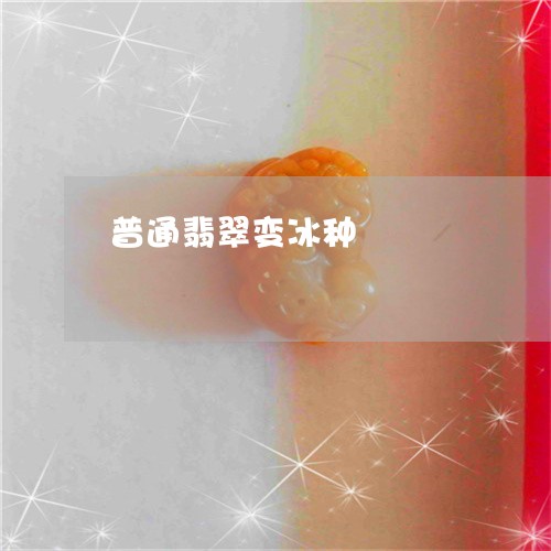 普通翡翠变冰种/2023040100682 普通翡翠变冰种/2023040100682