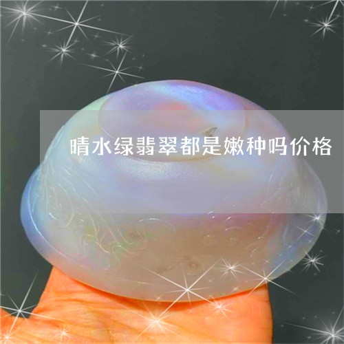 晴水绿翡翠都是嫩种吗价格/2023071074613