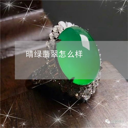 晴绿翡翠怎么样/2023040163604 晴绿翡翠怎么样/2023040163604