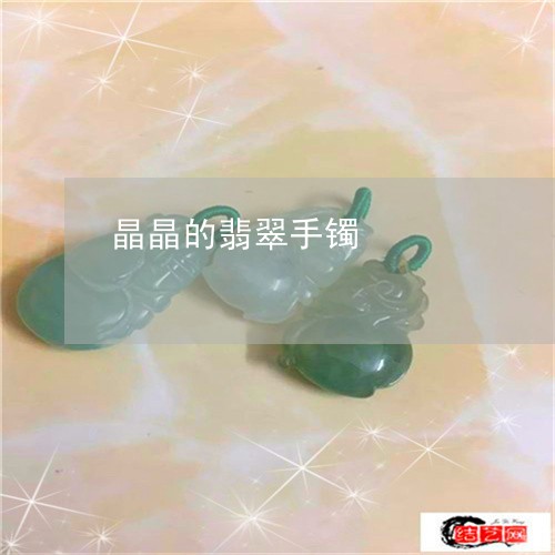 晶晶的翡翠手镯/2023061569682