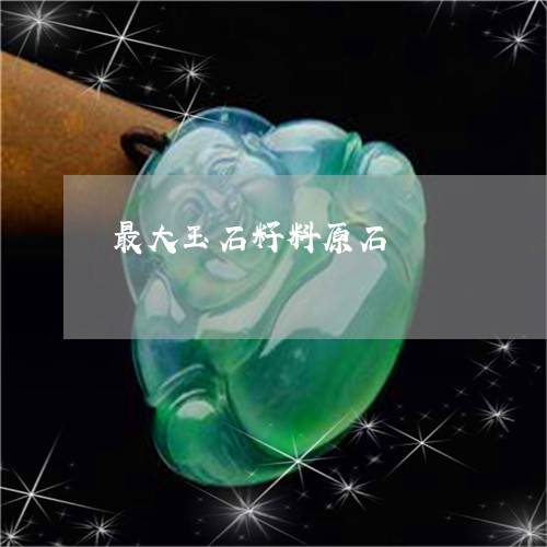 最大玉石籽料原石/2023032065159