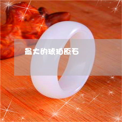 最大的琥珀原石/2023040107079 最大的琥珀原石/2023040107079