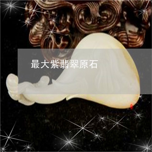 最大紫翡翠原石/2023040151494 最大紫翡翠原石/2023040151494