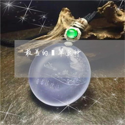 最差的翡翠豆种/2023040103817