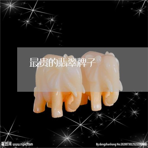 最贵的翡翠牌子/2023033175915