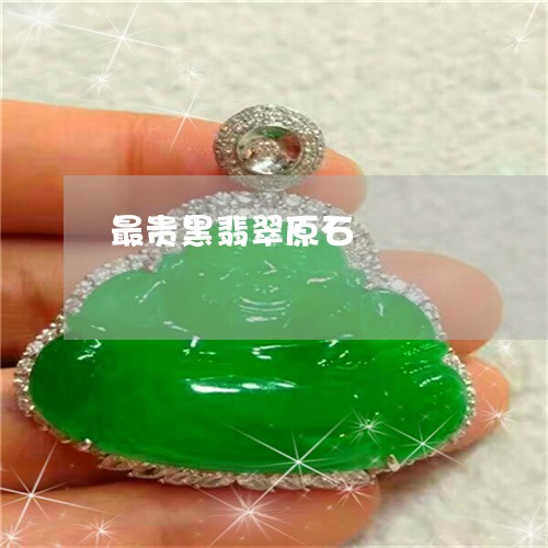 最贵黑翡翠原石/2023033116138 最贵黑翡翠原石/2023033116138