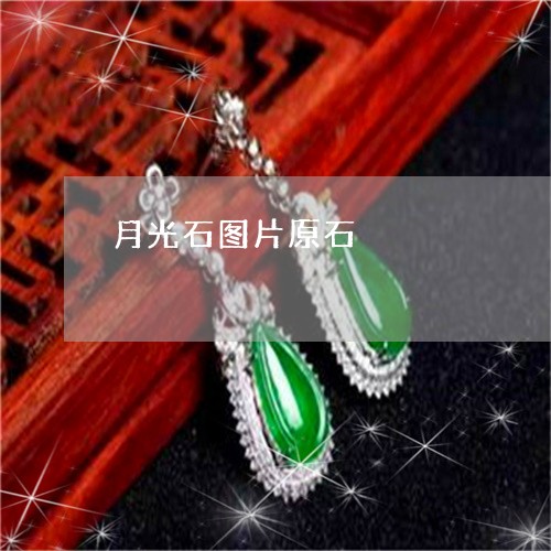 月光石图片原石/2023040116048