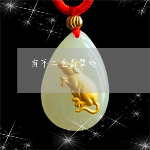 有不二堂翡翠吗/2023040174895