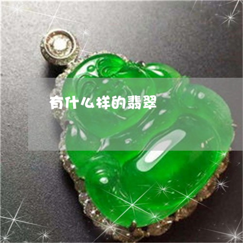 有什么样的翡翠/2023040107039 有什么样的翡翠/2023040107039