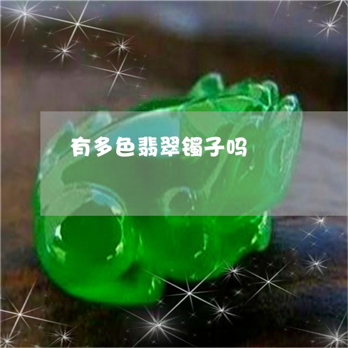 有多色翡翠镯子吗/2023031994916 有多色翡翠镯子吗/2023031994916