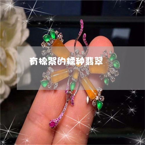 有棉絮的糯种翡翠/2023031982937