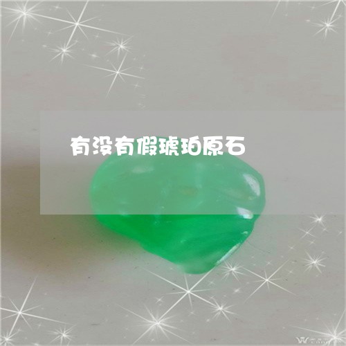 有没有假琥珀原石/2023031962723 有没有假琥珀原石/2023031962723