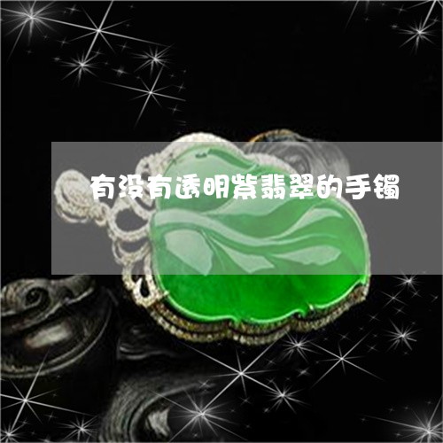 有没有透明紫翡翠的手镯/2023061818373