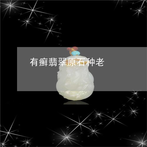 有癣翡翠原石种老/2023031952715 有癣翡翠原石种老/2023031952715