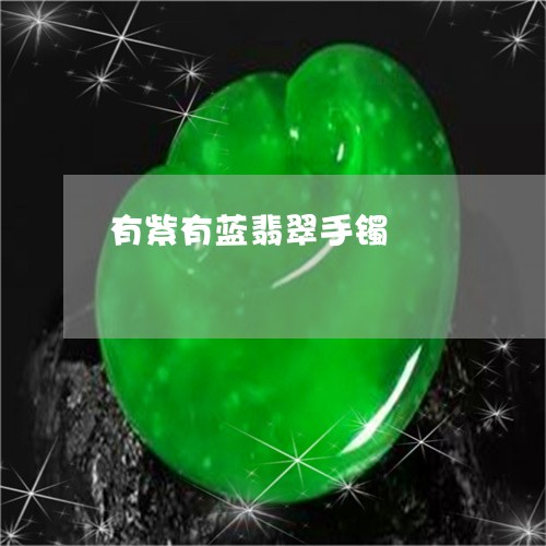 有紫有蓝翡翠手镯/2023031993928 有紫有蓝翡翠手镯/2023031993928