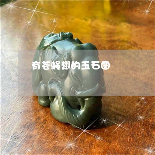 有苍蝇翅的玉石图/2023031986271 有苍蝇翅的玉石图/2023031986271