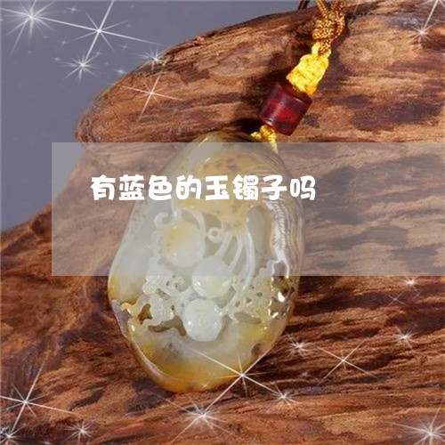 有蓝色的玉镯子吗/2023031917392 有蓝色的玉镯子吗/2023031917392