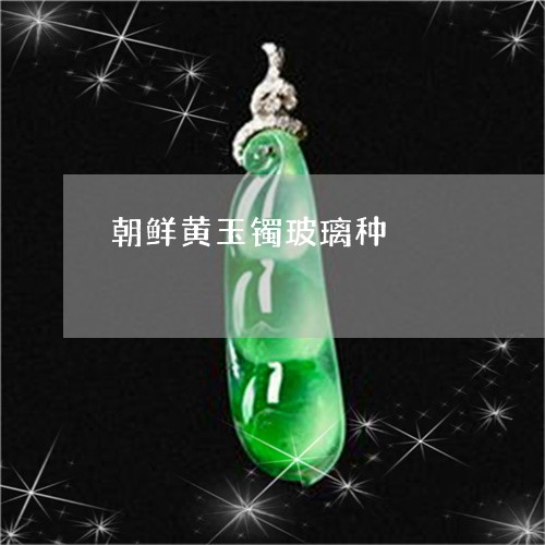 朝鲜黄玉镯玻璃种/2023031962605 朝鲜黄玉镯玻璃种/2023031962605