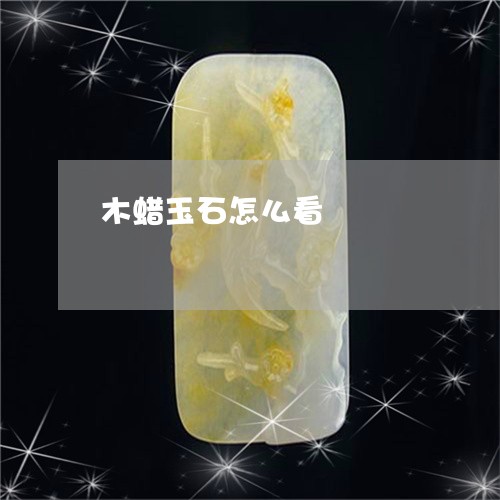 木蜡玉石怎么看/2023040140371