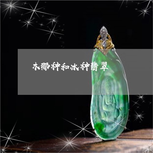 木那种和冰种翡翠/2023031987482 木那种和冰种翡翠/2023031987482