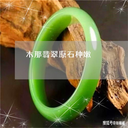木那翡翠原石种嫩/2023031930581 木那翡翠原石种嫩/2023031930581