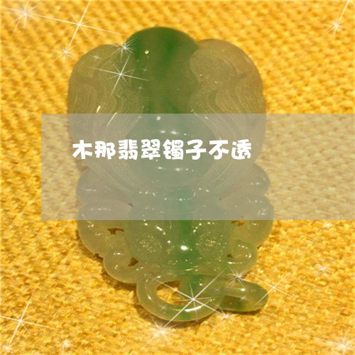 木那翡翠镯子不透/2023031910504