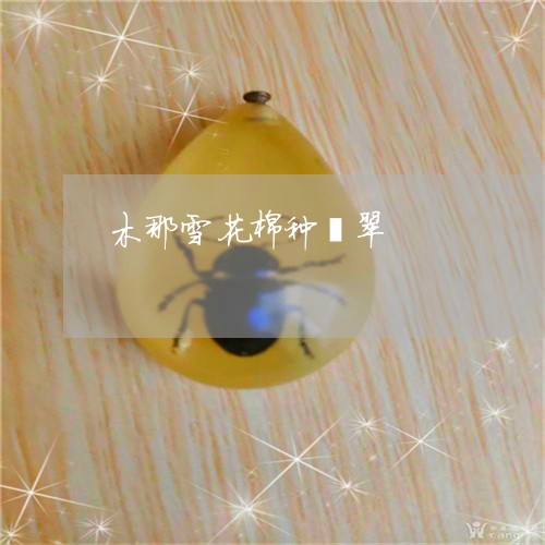 木那雪花棉种翡翠/2023031919695 木那雪花棉种翡翠/2023031919695