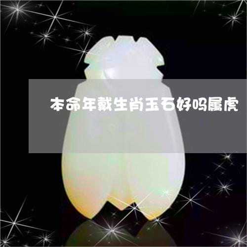 本命年戴生肖玉石好吗属虎/2023071040481