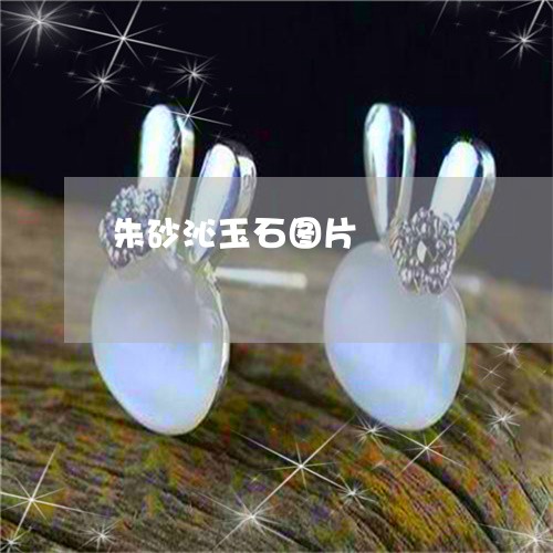 朱砂沁玉石图片/2023040140405 朱砂沁玉石图片/2023040140405