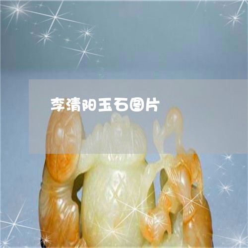 李清阳玉石图片/2023033148279 李清阳玉石图片/2023033148279