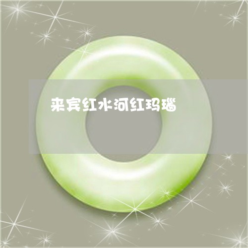 来宾红水河红玛瑙/2023031980896