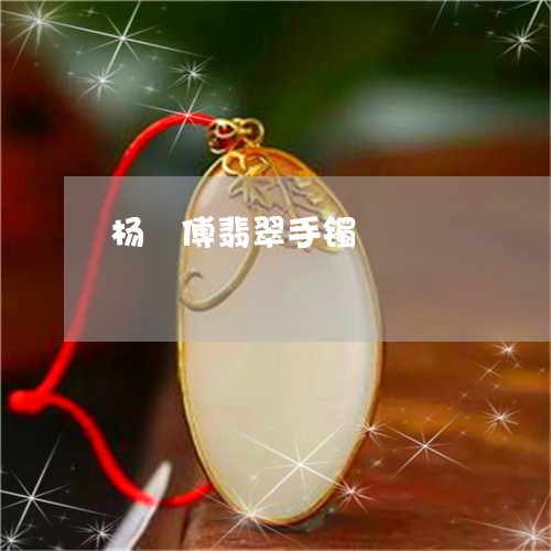 杨師傅翡翠手镯/2023040128350 杨師傅翡翠手镯/2023040128350
