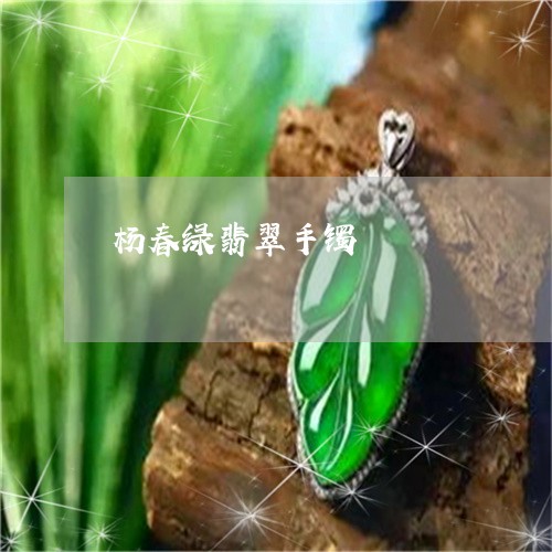 杨春绿翡翠手镯/2023040162813 杨春绿翡翠手镯/2023040162813