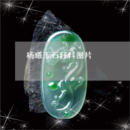 杨曦玉石籽料图片/2023031972795 杨曦玉石籽料图片/2023031972795