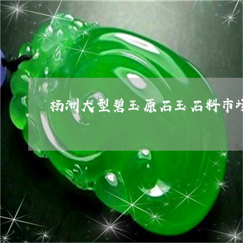 杨洲大型碧玉原石玉石料市场/2023032904959