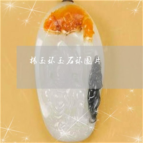 杨玉环玉石环图片/2023031920573 杨玉环玉石环图片/2023031920573