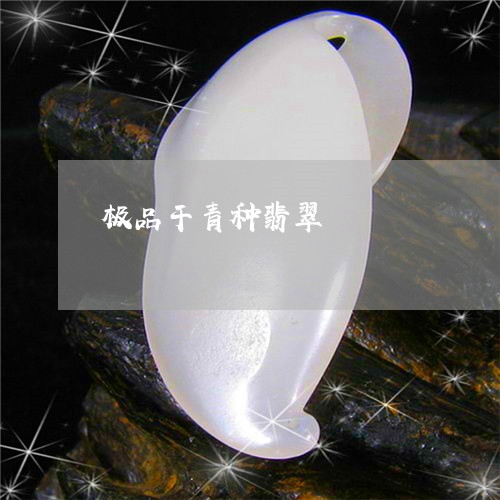 极品干青种翡翠/2023033172807